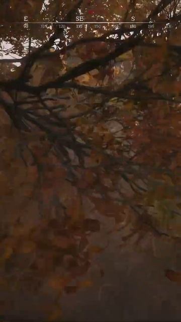 #huntshowdown  Hunt Showdown граната сила #shorts