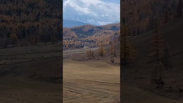 Дао Алтая в сентябре 2025 с Юрием Курочкиным