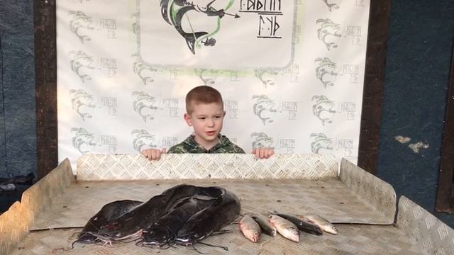 итоговый улов у юного рыбака