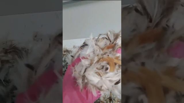 1000312849.mp4