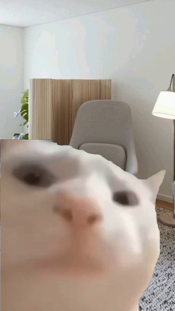 прошли тест? 🤔😏