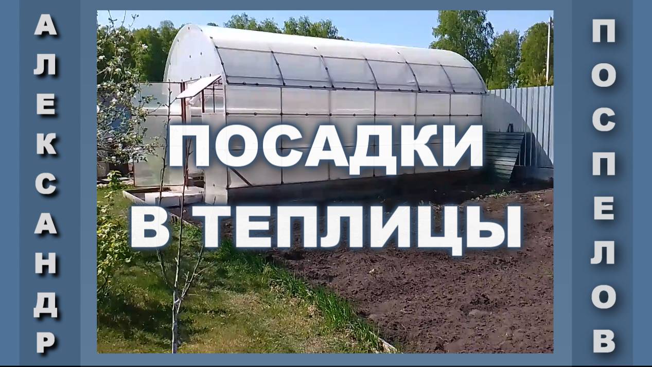 Посадки в теплицах. Садим перцы и огурцы.