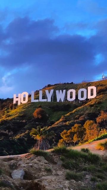 Обои для телефона LA VIBES Ver.2 #обои #usa #summer #losangeles  #обоинат