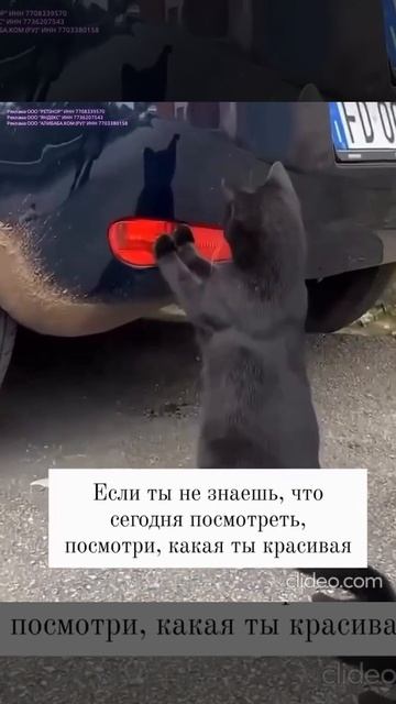 Посмотри какая ты крсивая