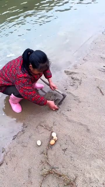 रेत में मिला अंडा #shortsvideo