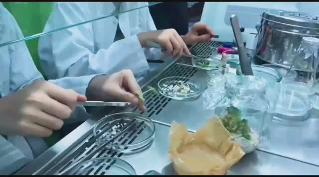 16 июня стартует приемная кампания в Шушенском сельскохозяйственном колледже!