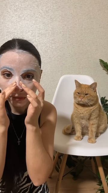 Забавные котики - # 10 (2025 год)