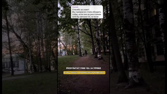 А вы хотите таких же результатов? Читайте описание ⬇️