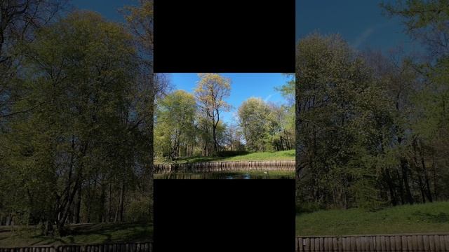 Санкт-Петербург 2025, катамараны, прекрасная погода, наслаждаемся 😉