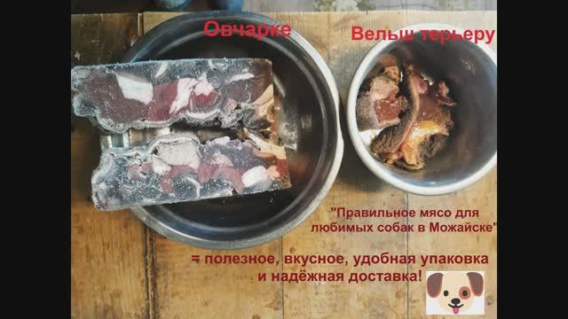 Мясо домашним собакам-Июнь-VI-2025