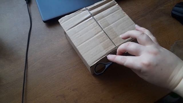 пора пересаживать огурцы/ весенние хлопоты