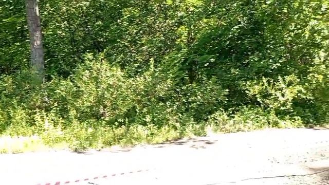 Соревнования
