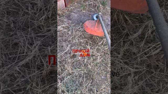 Витая щетка на триммер в деле. 05-06-2025