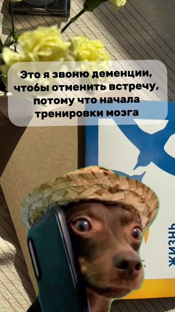 Деменция отменяется ❌