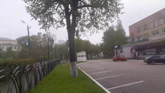стрижка кустарника