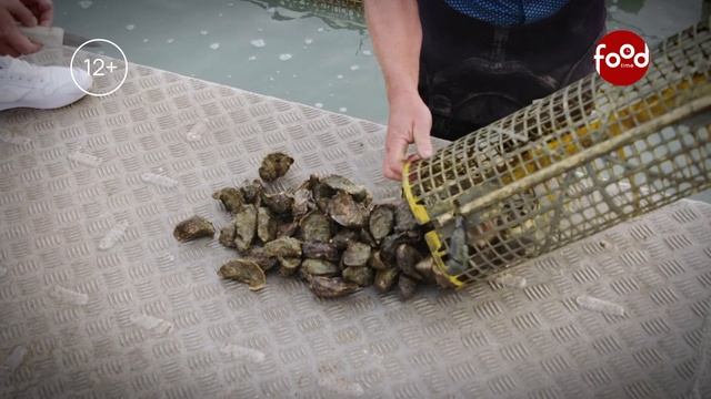 Вкусная история Новой Зеландии. Анонс. Канал FoodTime