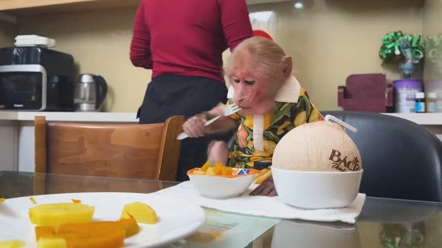 Обезьянка МАЛЕХА сама есть вилкой овощи Запивает кокосом трубочкой милота