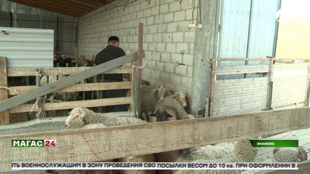 Около 200 семей в Пригородном районе получили помощь к Ид аль-Адха