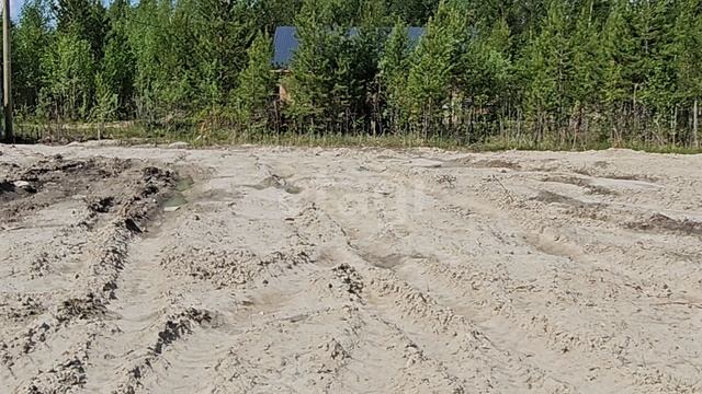 6819628 Возрождение