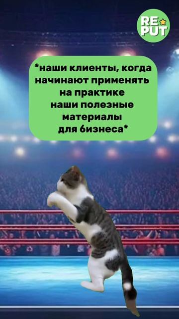 🐾 Как наши клиенты чувствуют себя на "бизнес арене"?