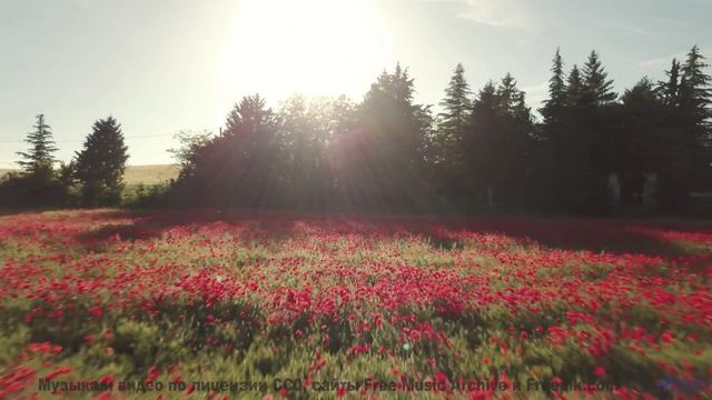 Ты слышишь Это НЕ человеческий звук. - Ambient 507050 -- Steve Combs -- Speaking in Spirals