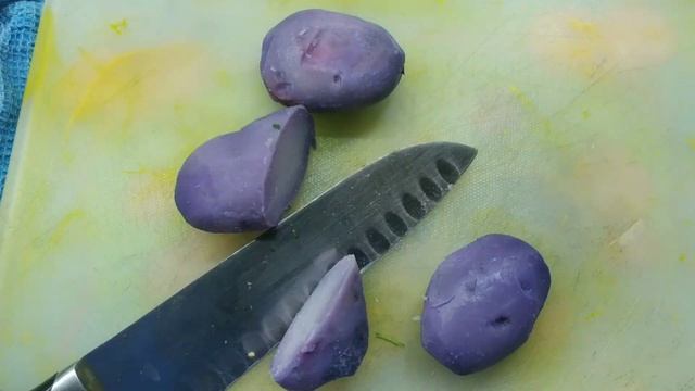 Холостая кухня. Фиолетовый картофель сорта "Монах" в в?