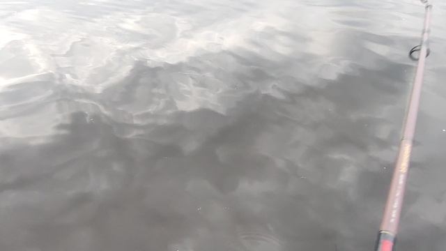 В День Города на Рыбалку