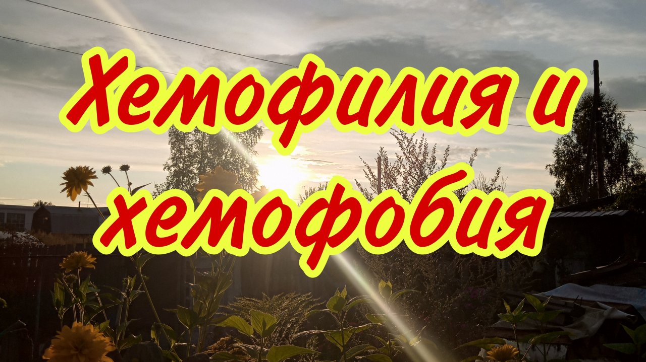 Отличие хемофилии  от хемофобии. Ответ на вопрос к уч. Габриелян Химия 8 кл. Параграф 1