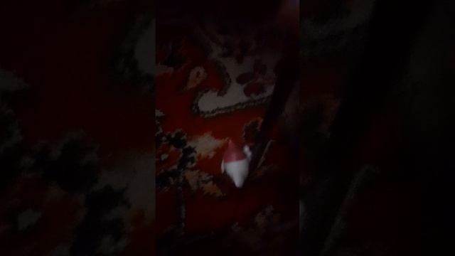 lps фильм без воды и света