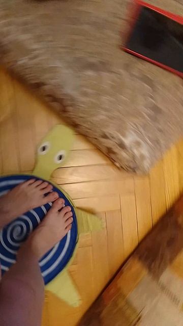 образ дома