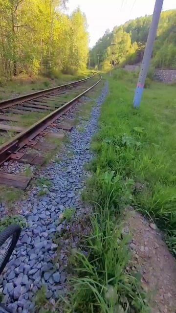 scene_output.mp4