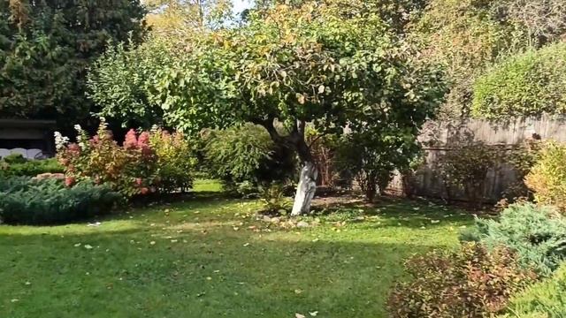 QGARDEN в гостях у заказчиков. Делаем примерку опоры для г