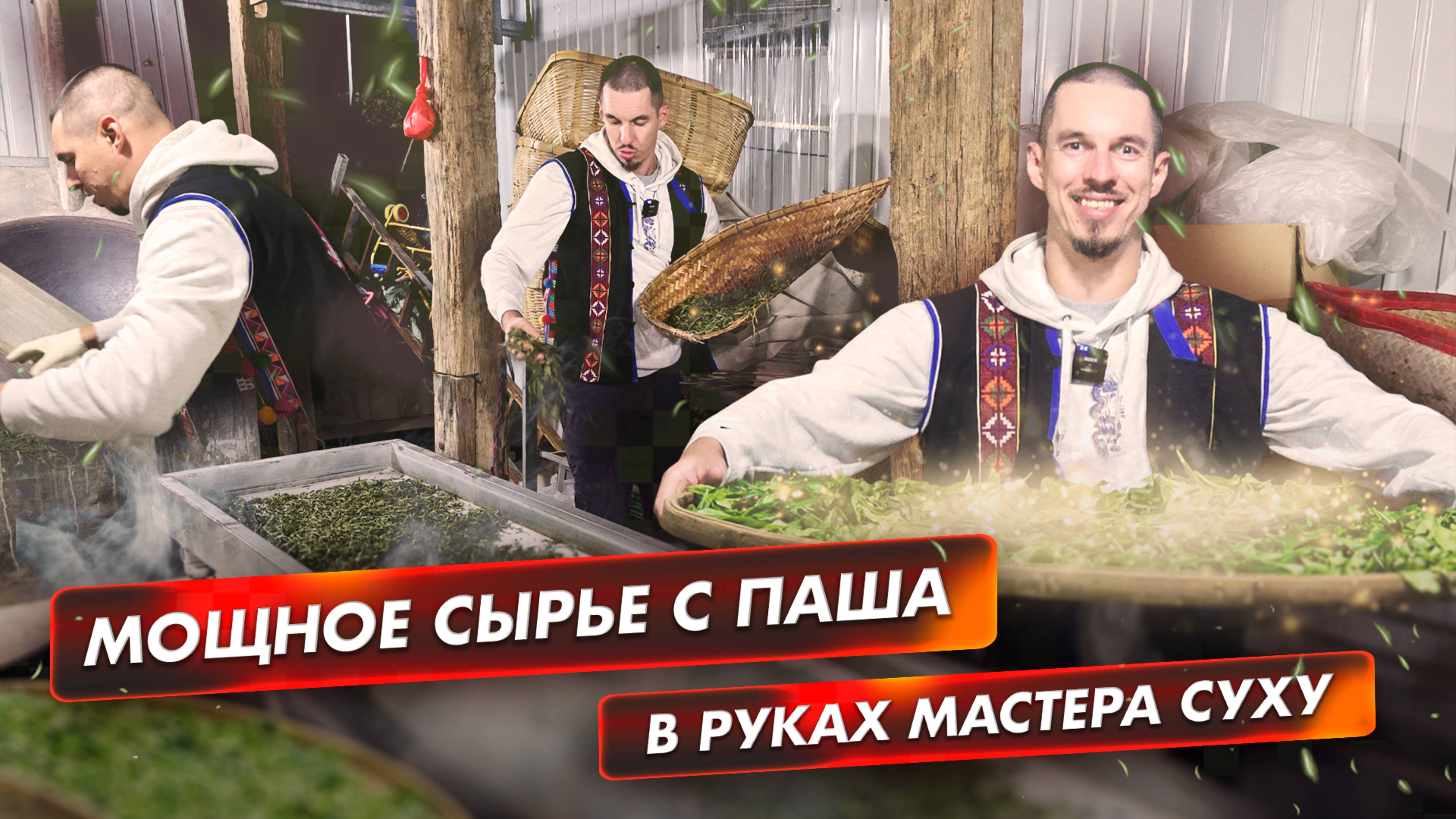 Путешествие листа: из чайного сада Паша в ручное производство на Суху