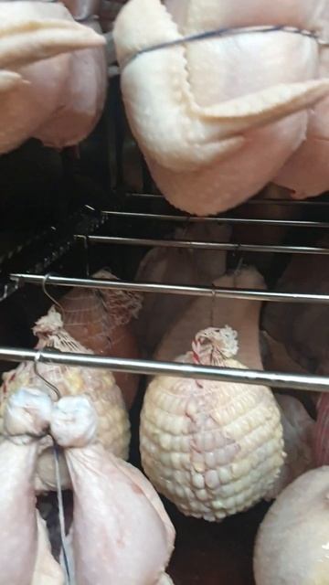 Вкусная, нежная продукция из коптилочки #shorts #мясо #коп