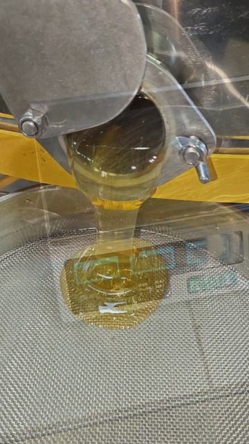 Что проще купить пчёл или мёд🍯🍯🍯❓