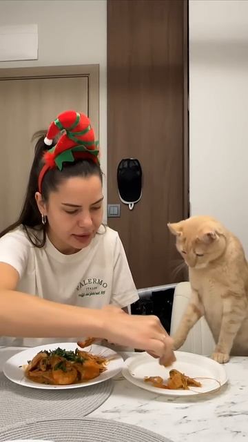 У кота нет терпения - 2025 год