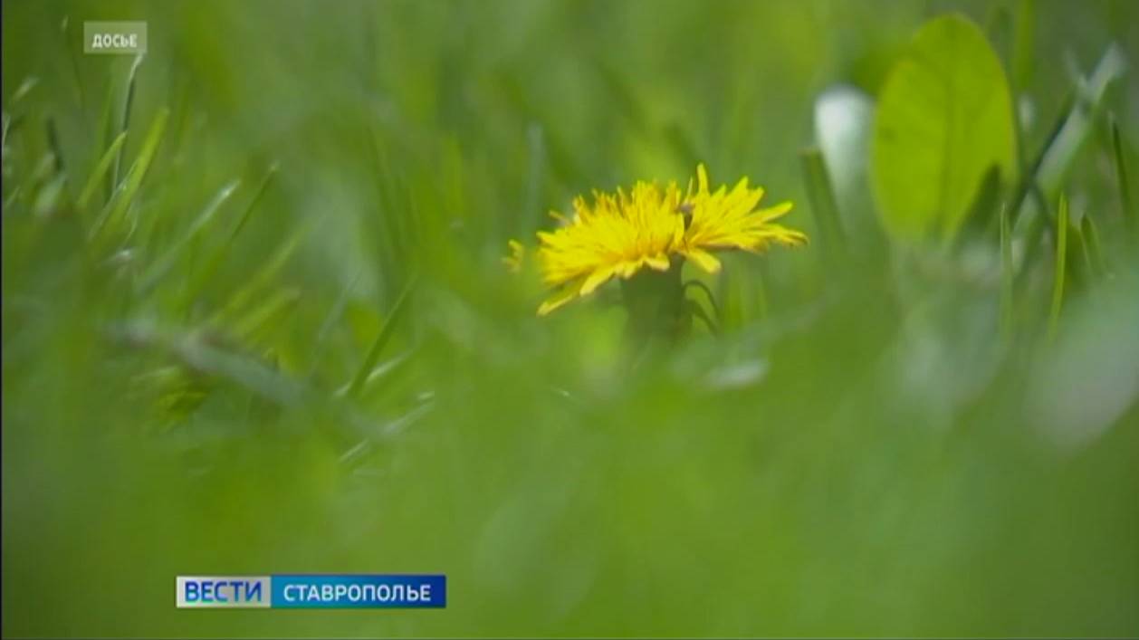 На Ставрополье выявлены серьезные заболевания, вызванные укусами клещей