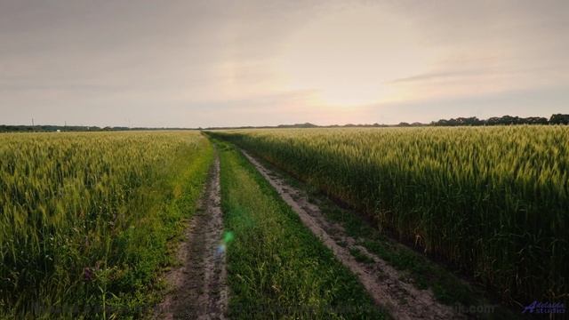 Ты не поймешь, почему раньше не видел этого! - Forever with You -- Crowander -- Uplifting Funband (p