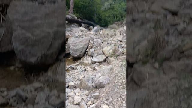 1000083196.mp4