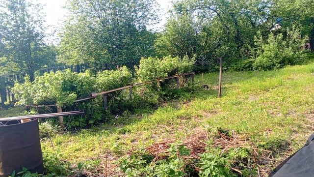 Сетка для защиты от птиц.