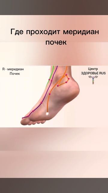 💧СТИХИЯ ВОДА и диагностика органов с #AkuScan