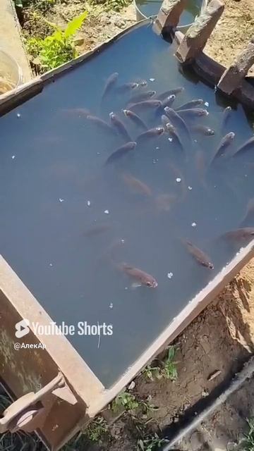 1000010532.mp4
