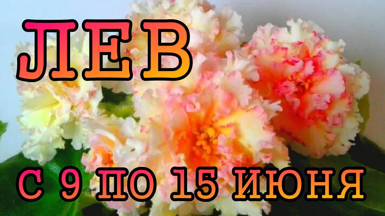 ЛЕВ таро прогноз на неделю с 9 по 15 ИЮНЯ 2025 года.