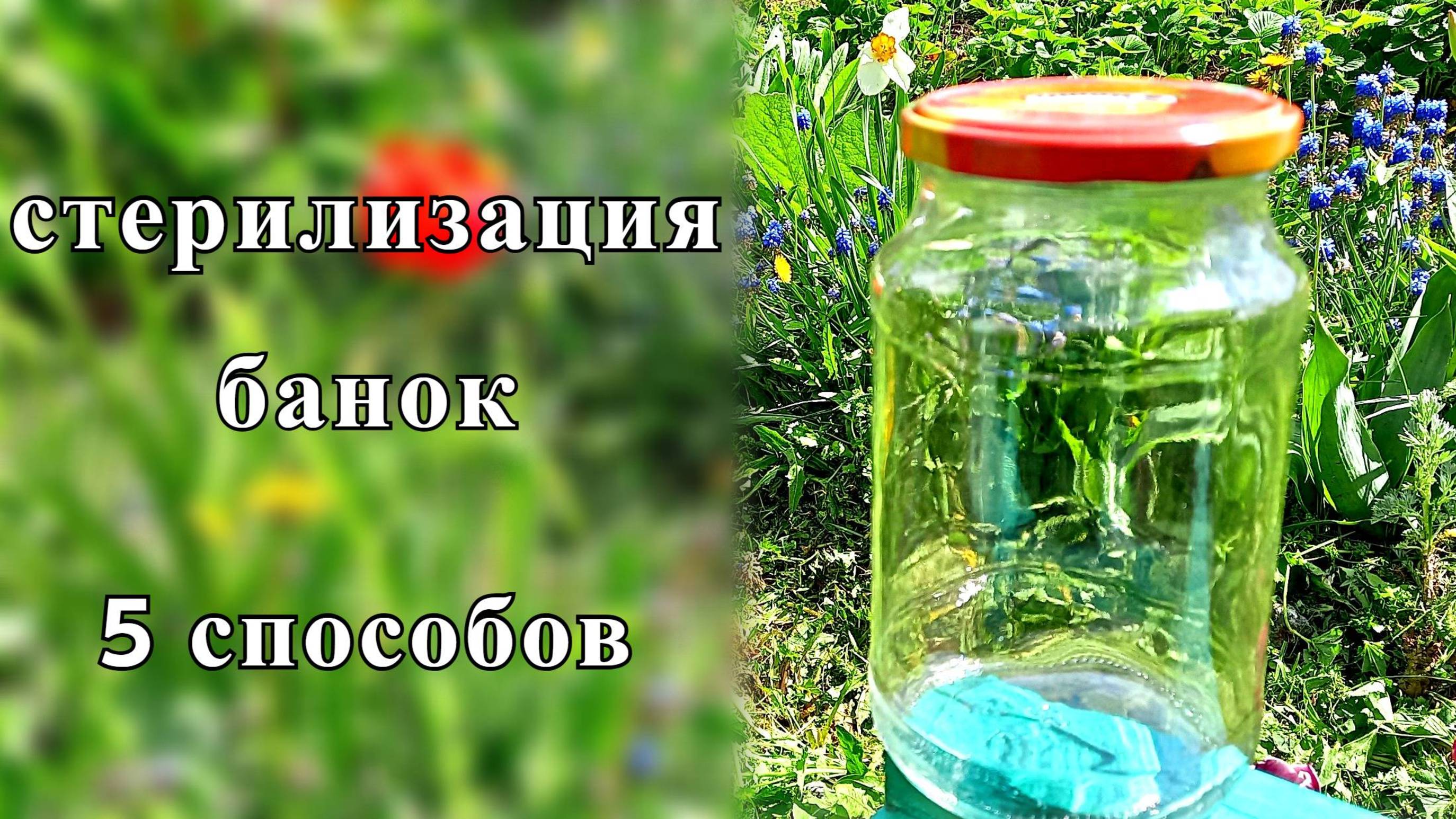 Стерилизация банок для заготовок на зиму. 5 способов.