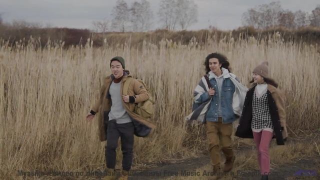 Пейзажи мира, под которыми звучит шедевр - Assmack -- Podington Bear -- Haplessly Happy (Box Set Dis