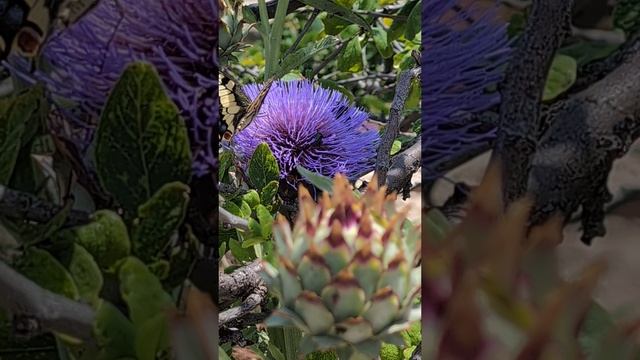 05-06-2025