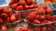 Ягодная инфляция: почему растут цены на клубнику, черешню и абрикосы