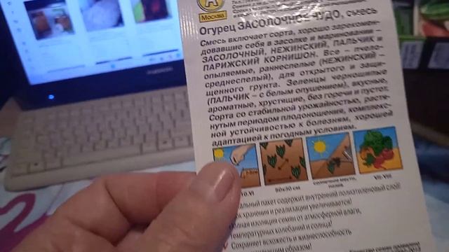 Огурцы для ТЕПЛИЦЫ и ОТКРЫТОГО ГРУНТА!!! 30.1.25г.