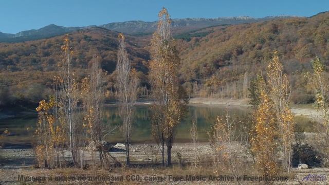 Лес превращается в сказку, стоит лишь включить звук - Curious Satellite -- Frau Holle -- Different W