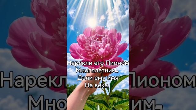 Доброе утро!